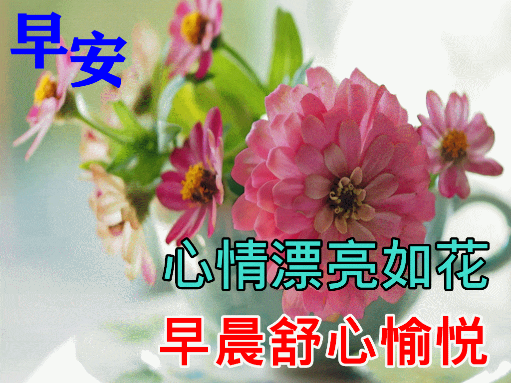 开源自荐】跨平台图片浏览器（展示器？） - 发现频道- 小众软件官方论坛, image size:1024x768