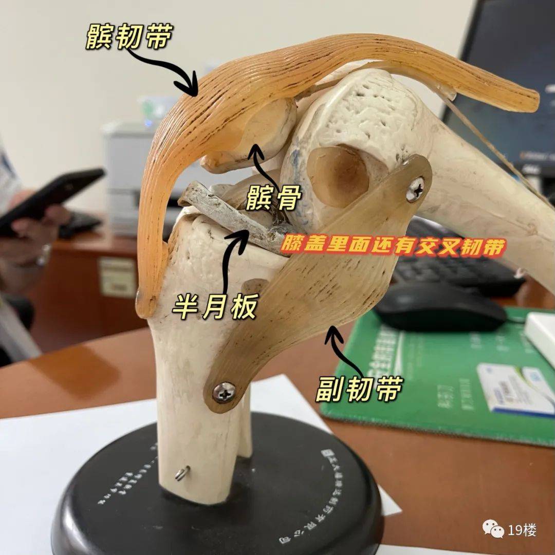 膝盖|23岁杭州姑娘因为裤子太短…进了医院