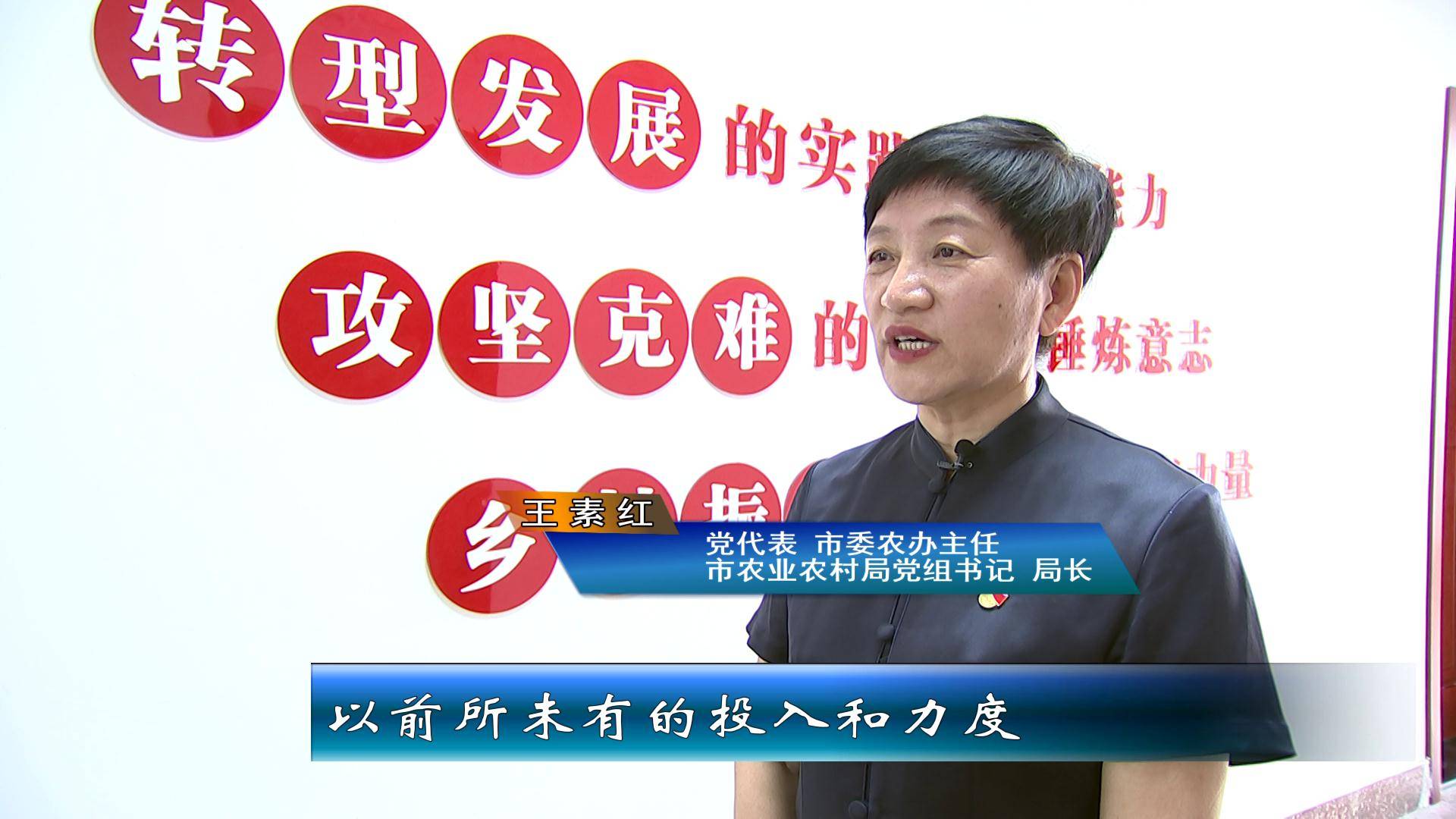 党代表 市委农办主任 市农业农村局党组书记 局长 王素红:市委市政府