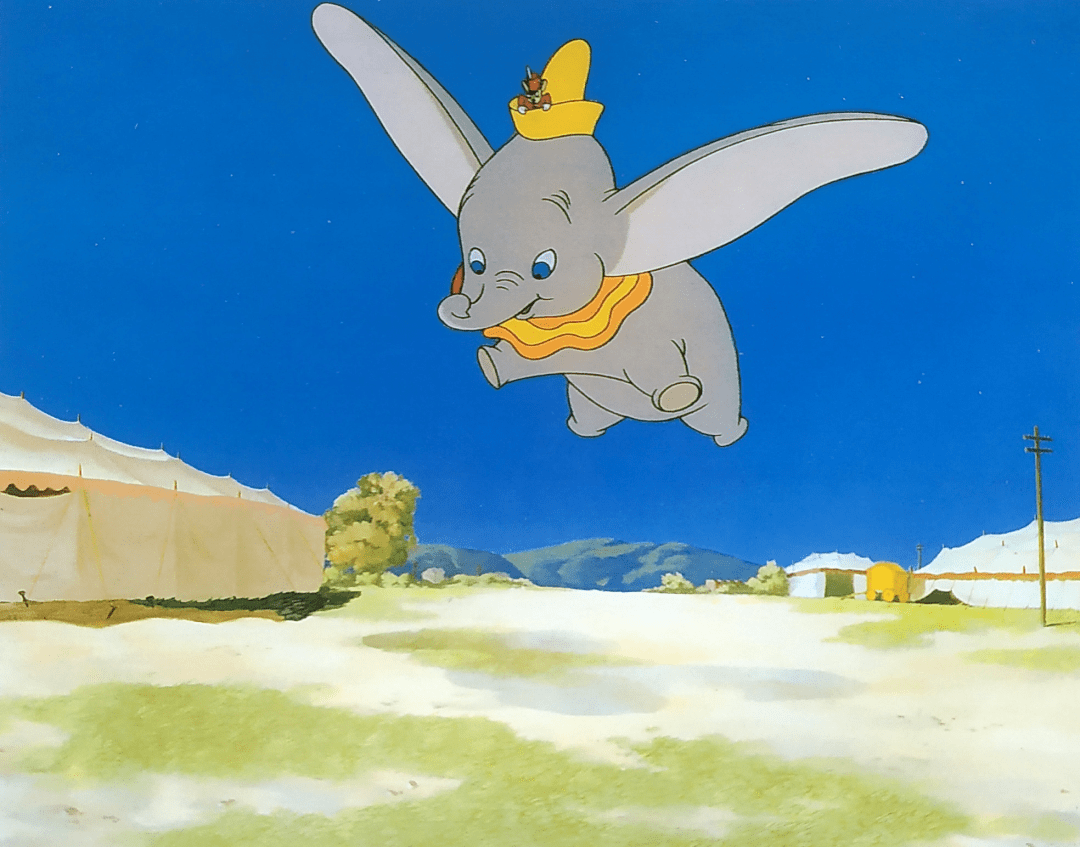 这一切在一定程度上都归功于露丝·汤普森的贡献.