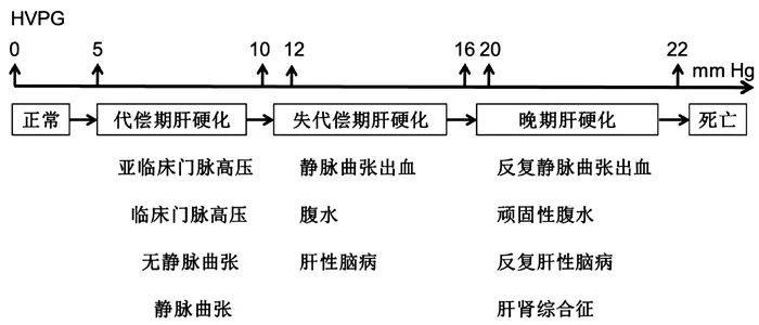 权威发布