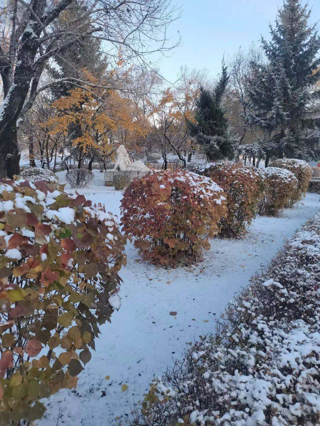 圖集一場秋雪帶來了鶴崗的冬天