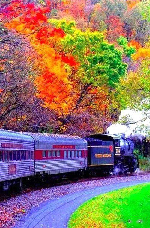 风景|秋意浓，道一声珍重