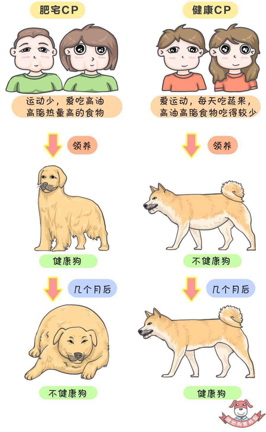 因为|10个饮食习惯，让你变成易胖体质！