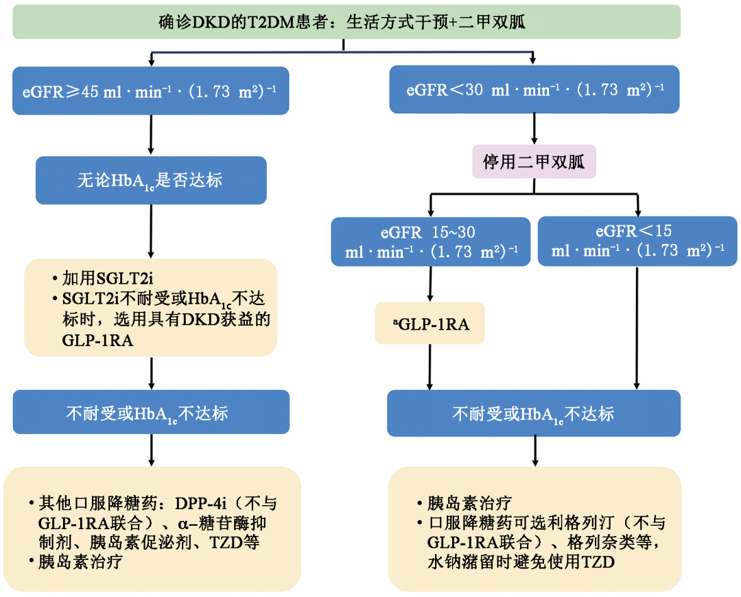 确诊dkd的t2dm患者降糖药物选择流程图在以肾脏事件为主要终点的丫靠