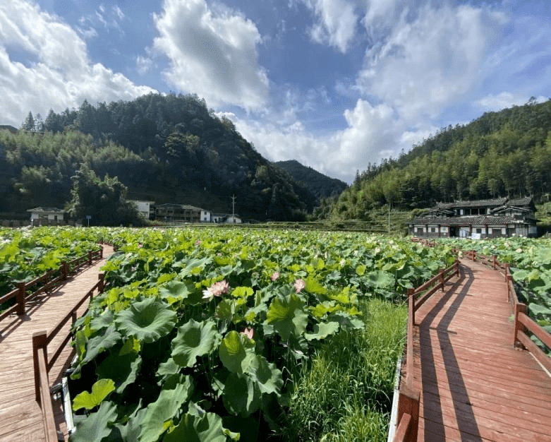 【泉州绿盈乡村】德化县上涌镇曾坂村:流域综合治理 助力乡村休闲游