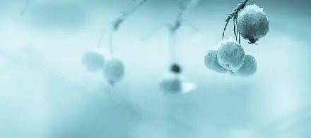 流感|学校和托幼机构警惕冬季传染性疾病发生