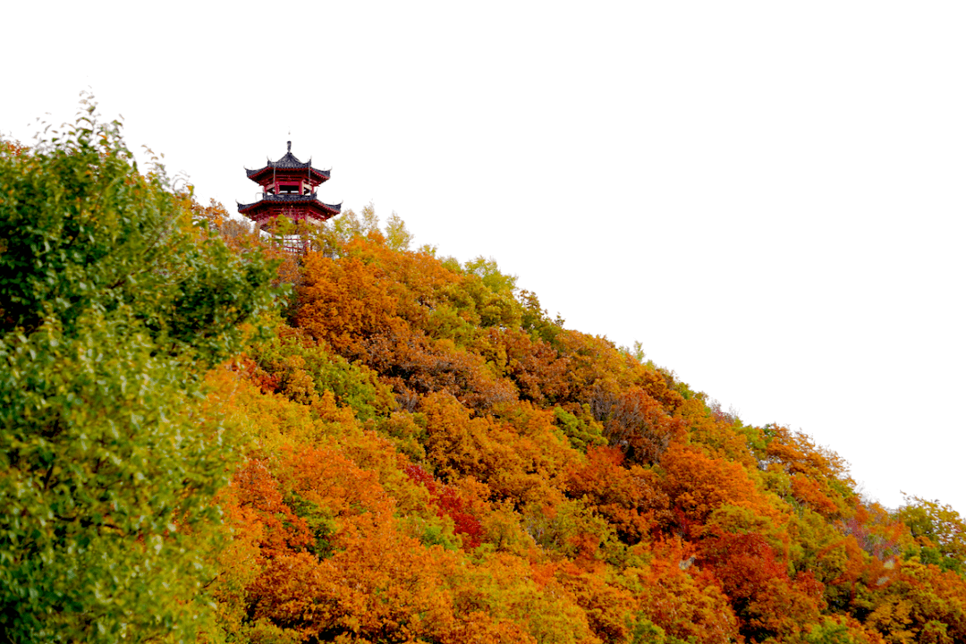 吉林|最后的秋景！快点去打卡