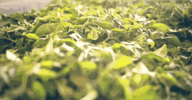 现实眼里写满故事,脸上不见风霜,现实吗?