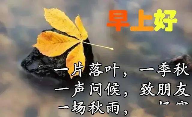 漂亮秋天风景早上好祝福问候语图片带字好看的秋日清晨朋友圈早安祝福