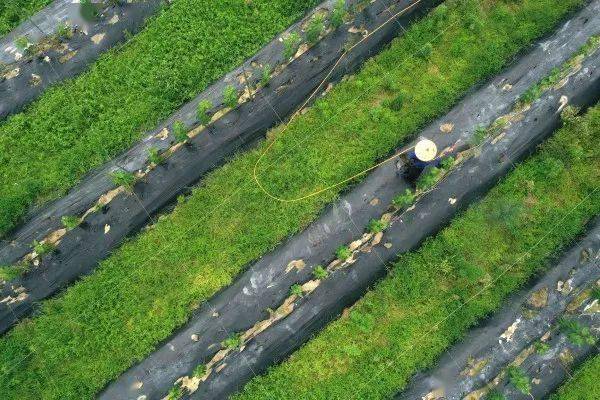 观点丨赵丽秋以推动人的全面发展促进共同富裕