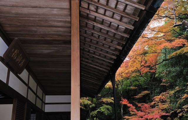 秋之韵 · 大德寺高桐院