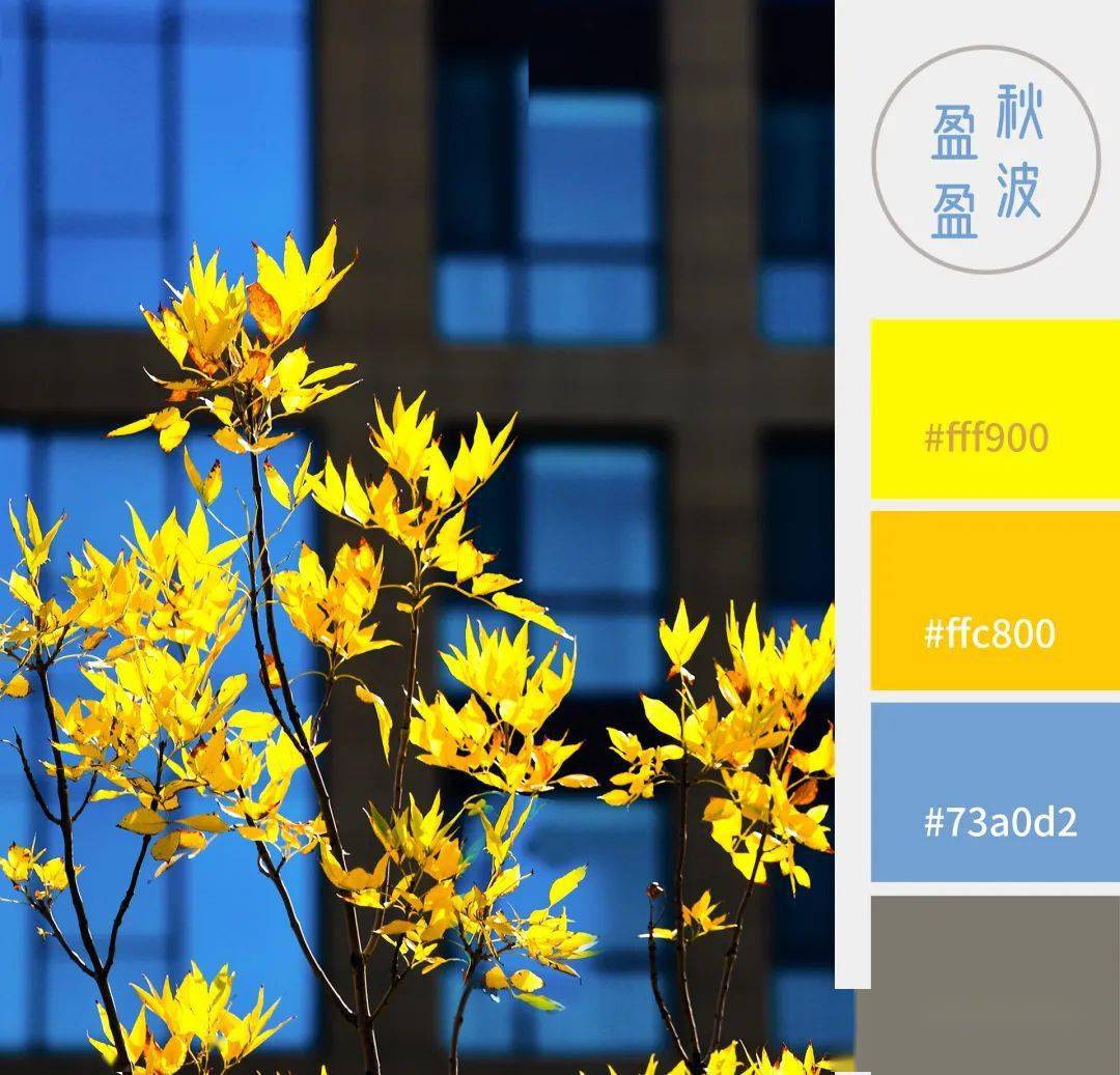 快收藏秋天最高级的配色