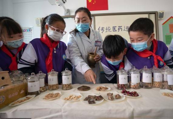 中药房|体验中医文化 迎接“世界传统医药日”