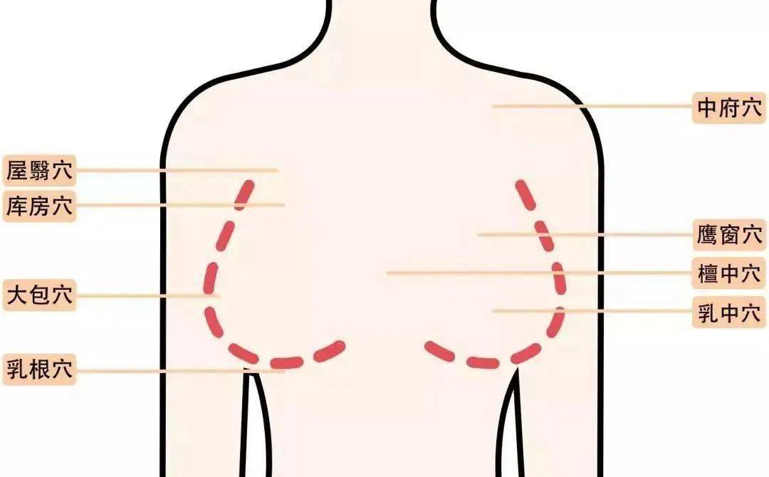 做一次胸可以通9条经络,108个穴位!_乳房