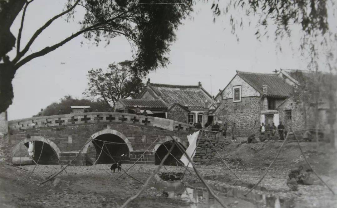 我要把你放进蓬莱小面里因为我是浪漫的蓬莱人