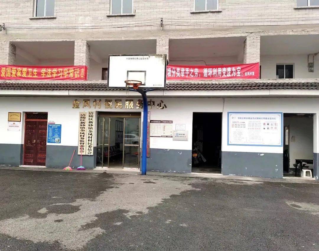 特色农业 扮靓乡村——走进新妙镇金凤村