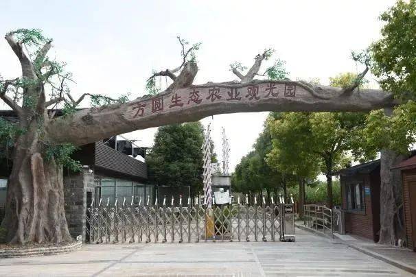 方圆生态园采用绿色防控,水肥一体化,病虫害防治技术等标准化种植技术