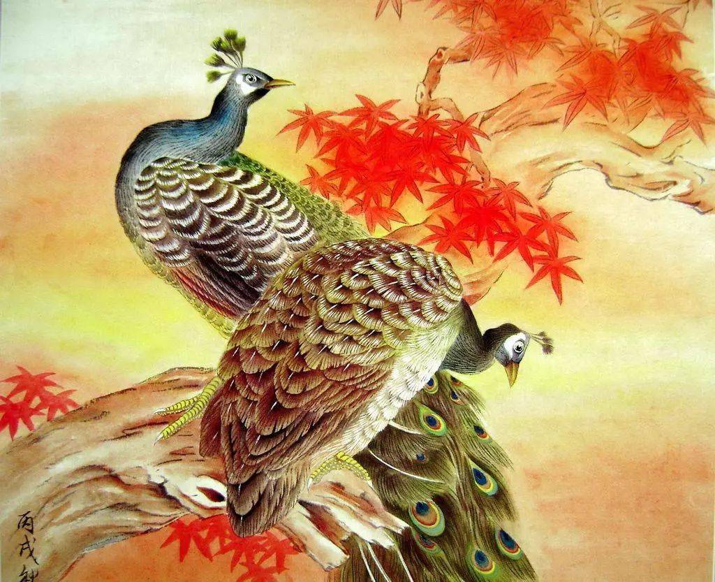 《孔雀》工笔画法