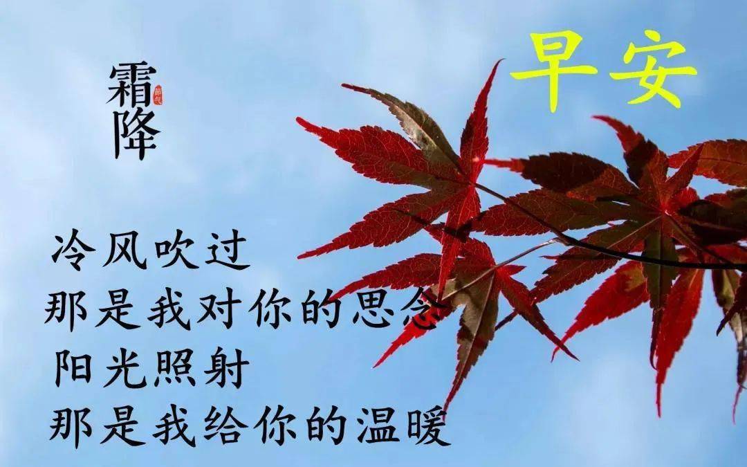 霜降最新版特漂亮鲜花早安祝福图片带字推荐霜降早上好问候语