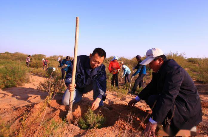 2019年,张应龙(左)在沙地同当地农民一起种树.