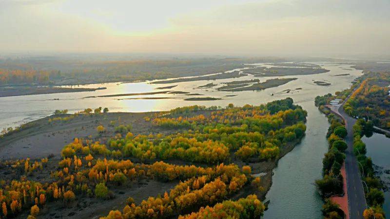 伊犁河畔芳草湖遍地金黄满目秋