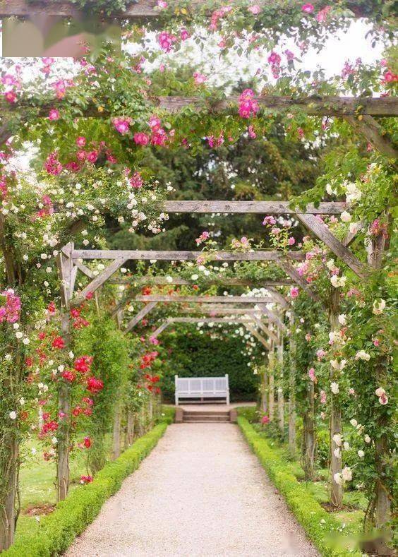 庭院花架不只是架子那么简单