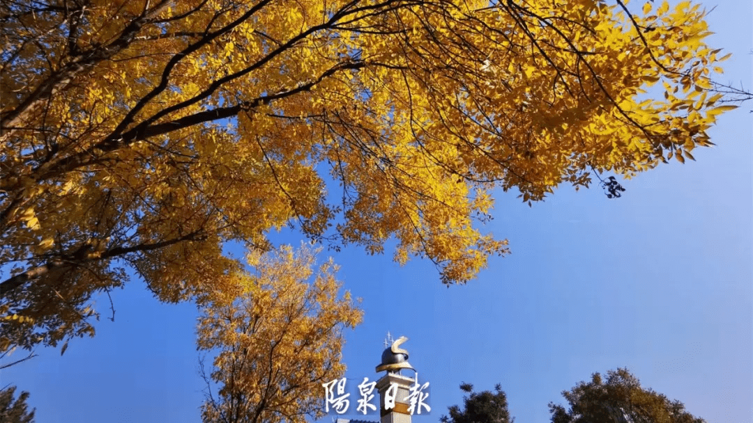 版权|惊艳！快，抓住秋天的尾巴，再赏一回家门口的秋日美景