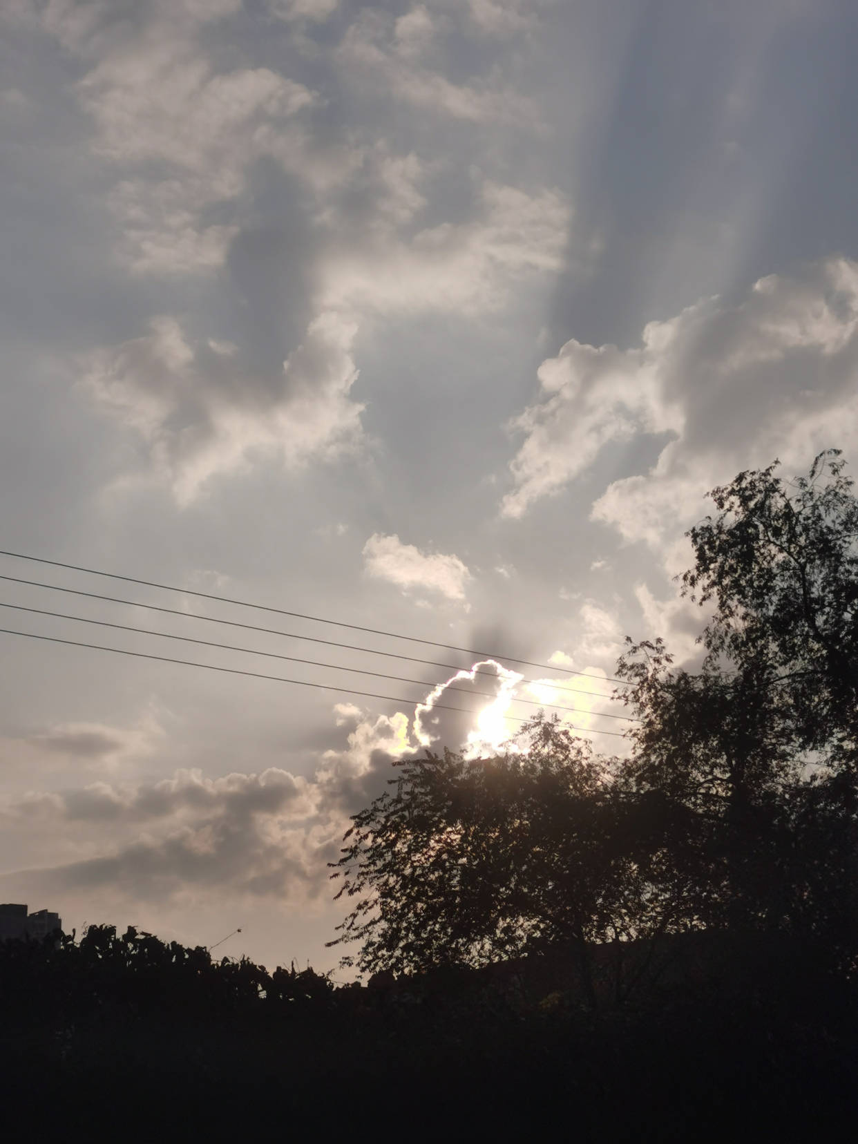 太阳|疫情生活：分明是过街的雨水