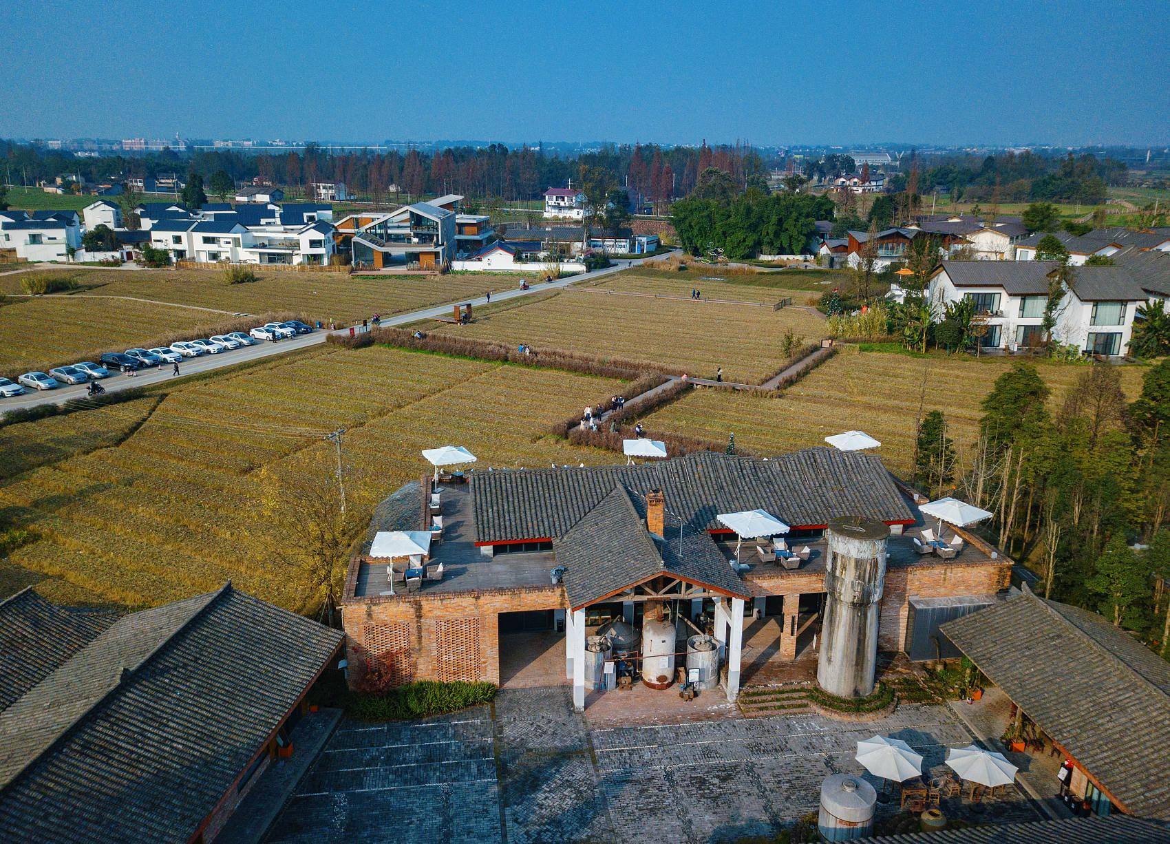 95亿帮扶资金 担当乡村振兴"顶梁柱"_安仁镇