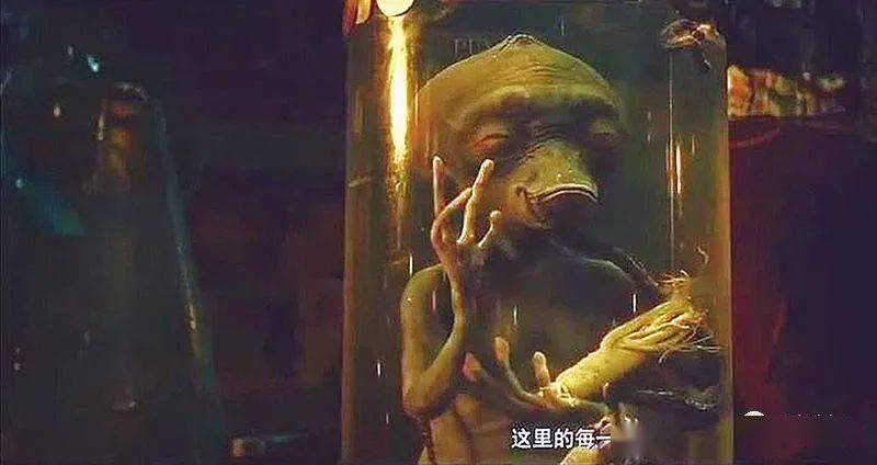 庄园|母亲去世，他与父亲大吵一架后，做出了这款独一无二的游戏