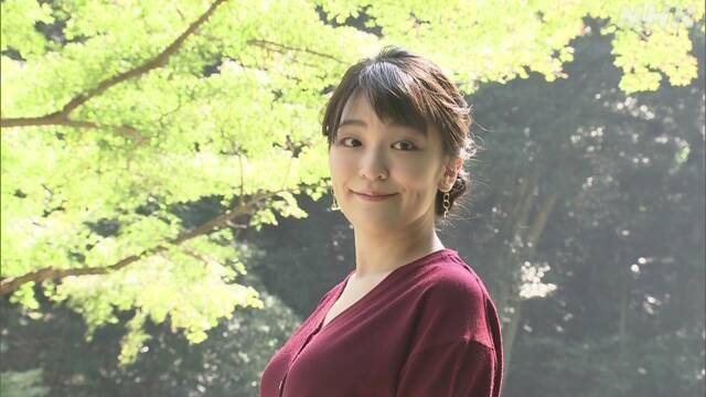 日本真子公主結婚記