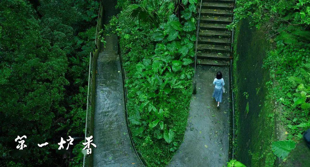 司徒|顶级班底打造的《第一炉香》,香吗?