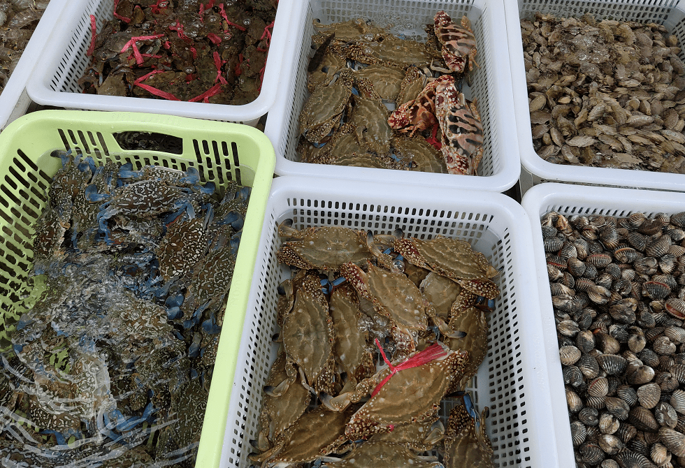 真香台山都斛海鲜街十大名菜出炉海鲜爱好者看到都走不动路了