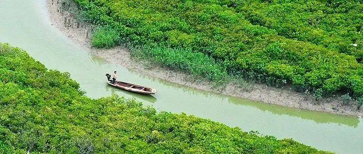 保护生物多样性丨镜头里的中国•生物多样性图鉴(8)_生态