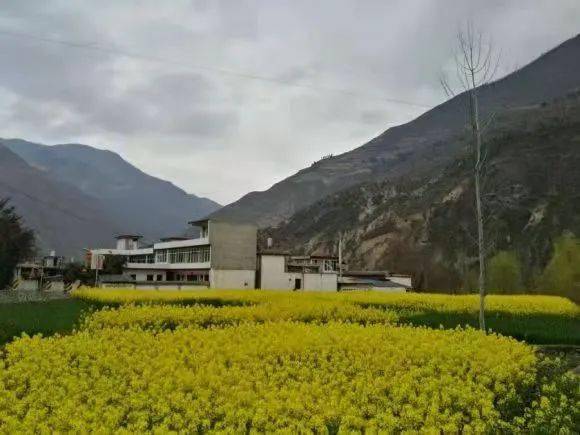 张庆中【1】桥头镇写意桥头,这个矗立在阶州(武都)与文州(文县)之间的