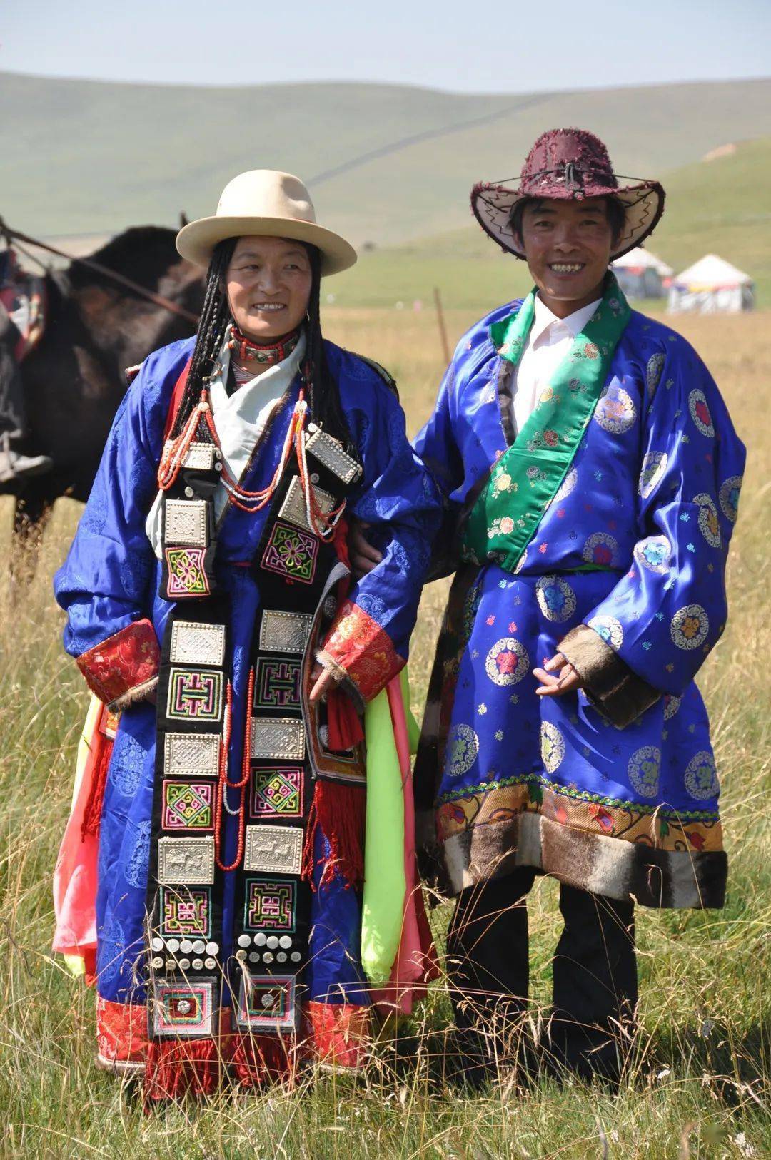 新展早报丨油菜花田唱家曲——门源非遗项目赏析_青海地区