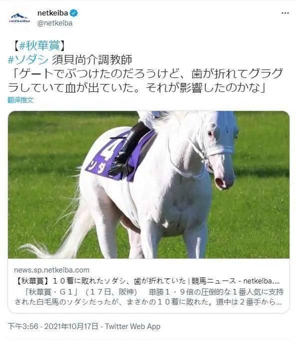 白马|世界最强，马中妲己！日本一本白马写真力压明星夺得销售榜第三名？看完后我理解了…