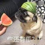 颜色不会穿搭，你只需要一点——黄色