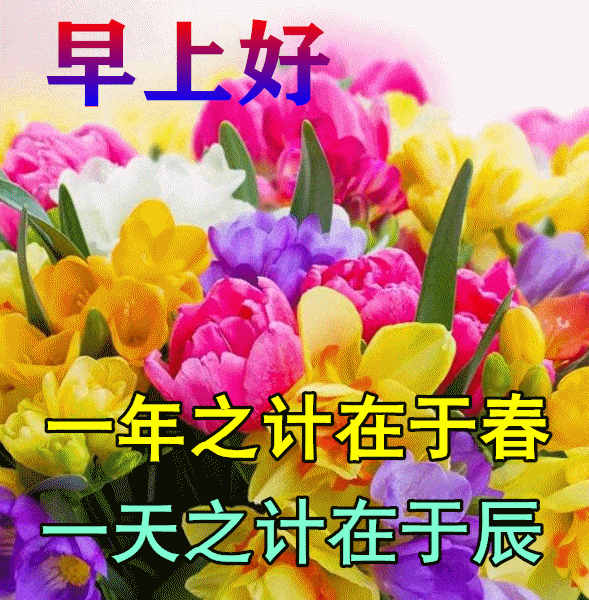 10月27日最漂亮早上好动态表情图片大全秋天早安问候美图大全