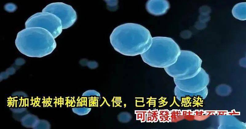 淡水鱼|香港79人感染，7人死亡！致命病菌暴发，紧急提醒