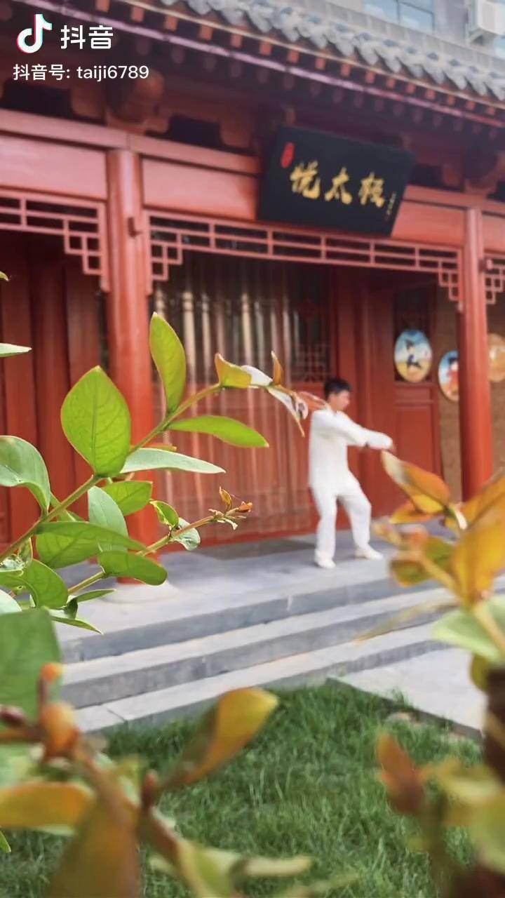 功夫 太极郑佳琦 太极 生活无处不太极