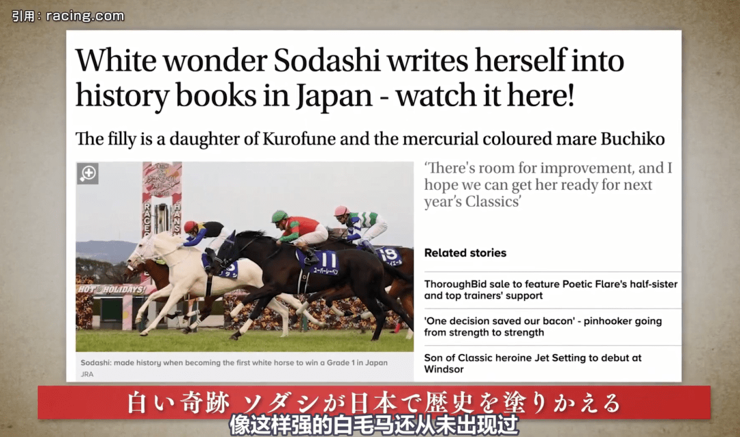 白马|世界最强，马中妲己！日本一本白马写真力压明星夺得销售榜第三名？看完后我理解了…