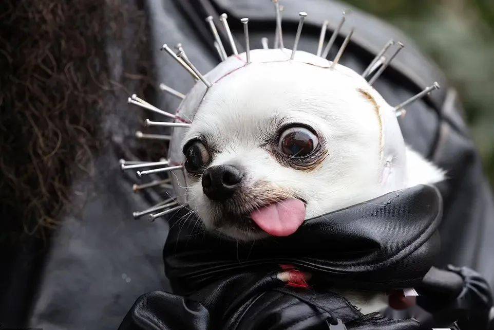 经典恐怖电影《hellraiser》里的角色,钉子头.发现了三个洛基.