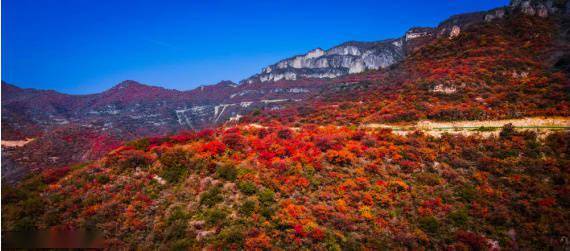 无人机|漫山红叶醉金秋