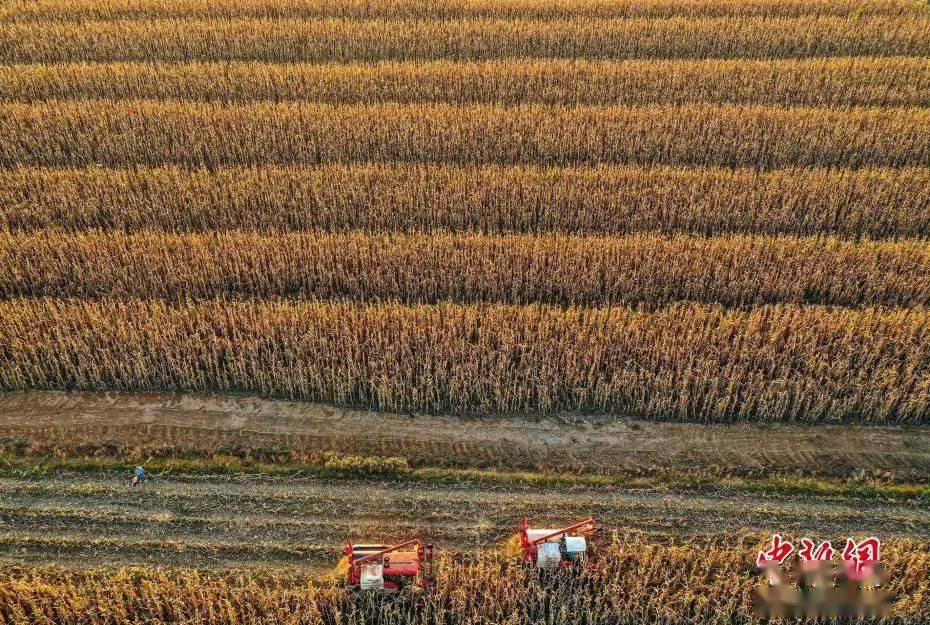 贺若弼|一个人开始走大运的4个征兆