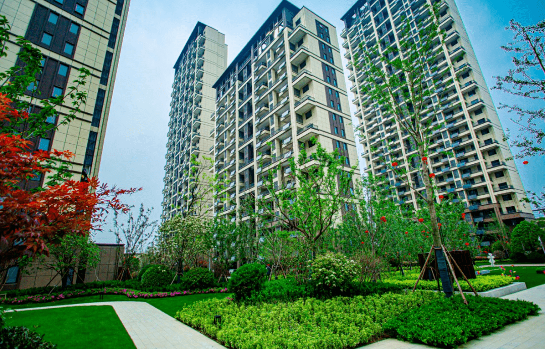 当代城mom2009户已交付业主选定理由