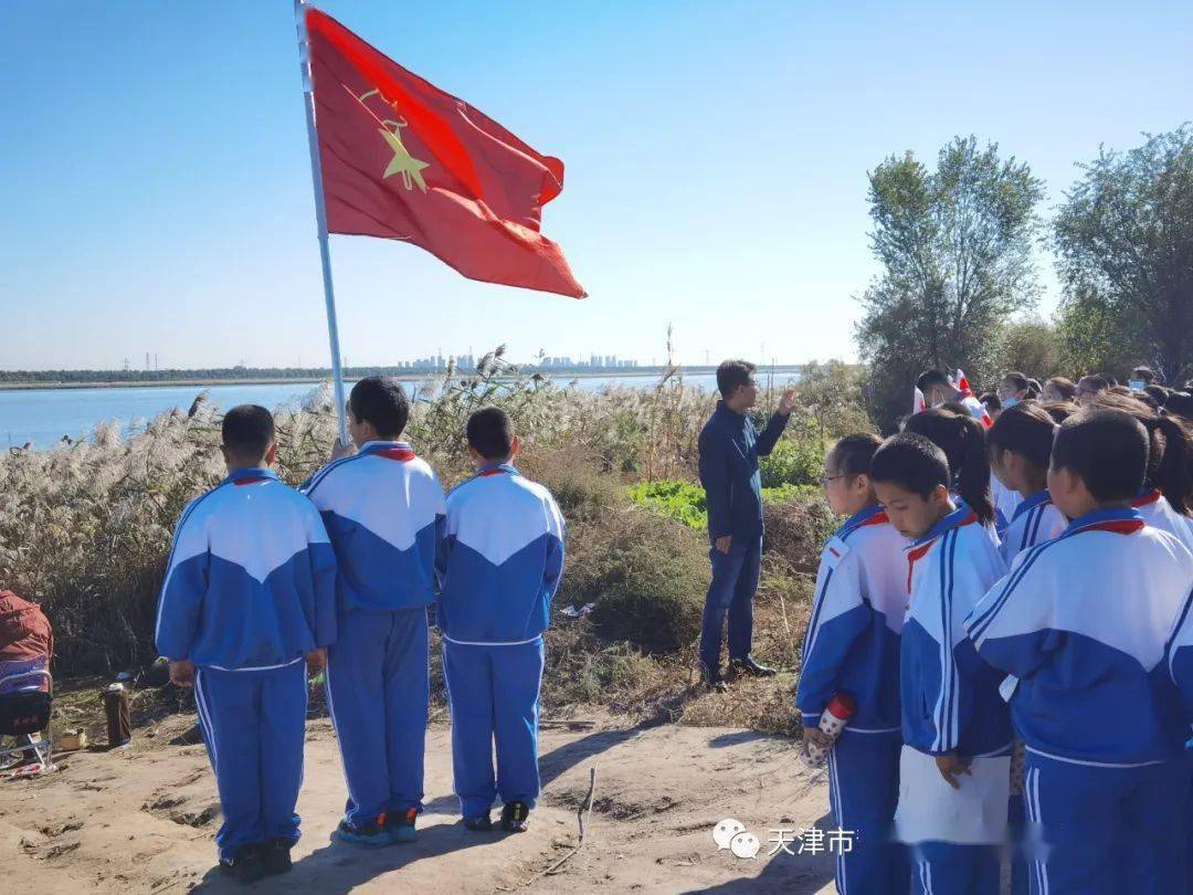 书香颂百年永远跟党走团泊小学开展让诗意栖息校园让诗韵铺洒团泊诗意