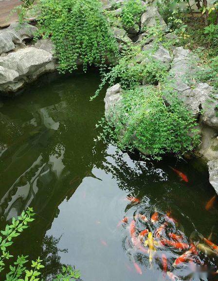 庭院池塘的风水布局