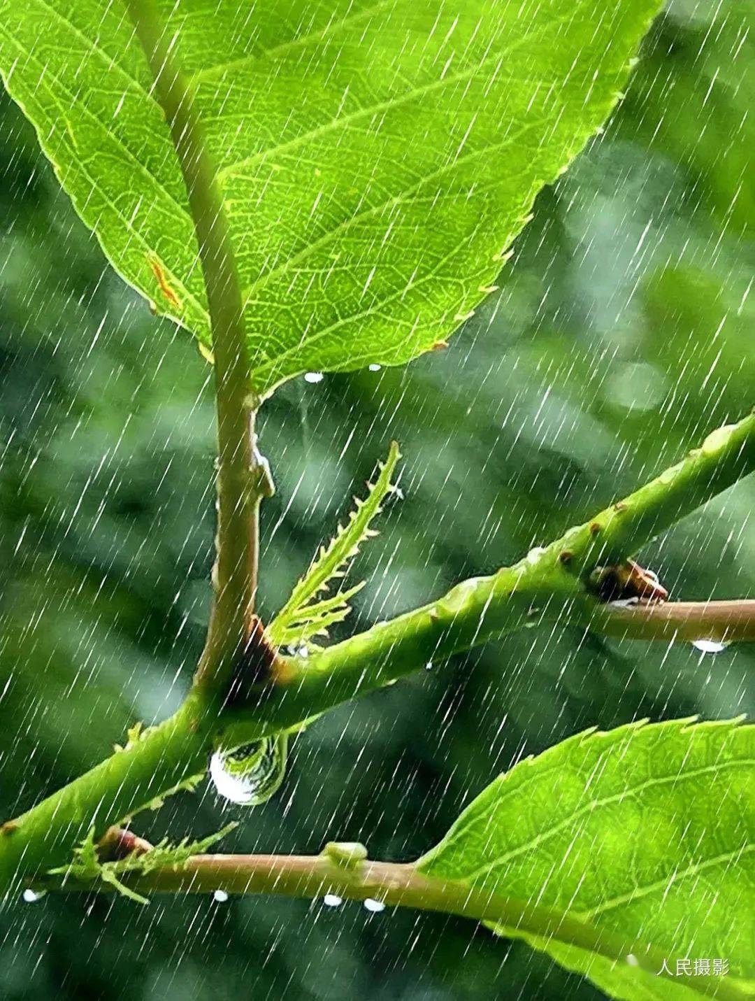秒变ps达人利用点状化结合阈值营造雨景
